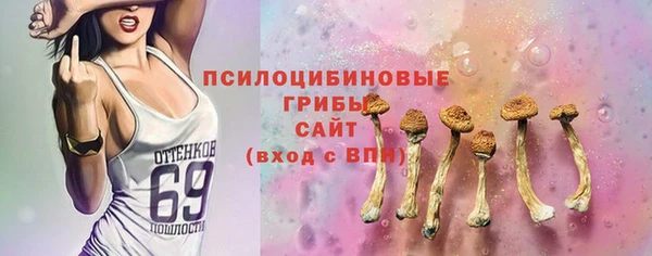 ПСИЛОЦИБИНОВЫЕ ГРИБЫ Вязники